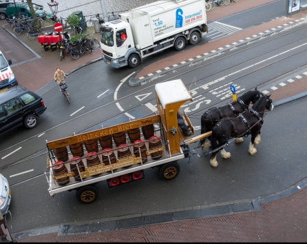 Horse Easy Living apartment Amsterdam