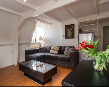 Living Room Easy Living apartment Amsterdam