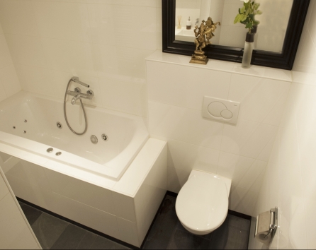 jacuzzi and toilet