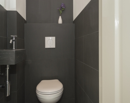 Toilet includes small sink