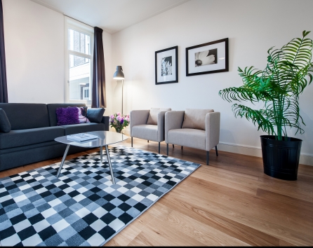 Living Room Overview