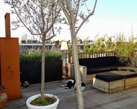 Your own private oasis in the city of Amsterdam