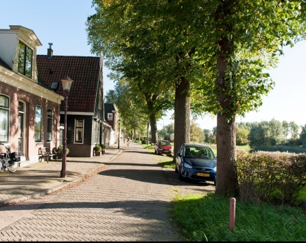 Street Parking