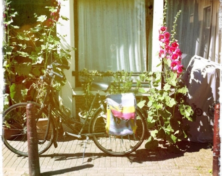 Summer front of house