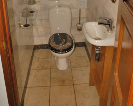 Ground floor toilet and sink