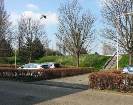Near the house , only 2 mints