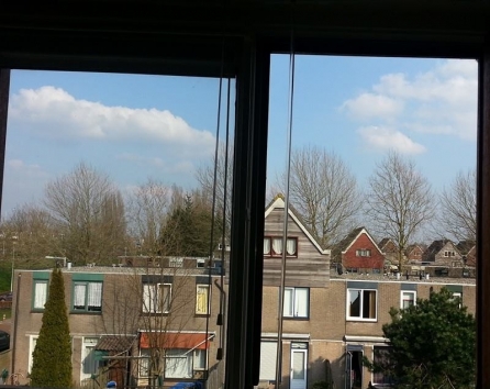 Beautiful view