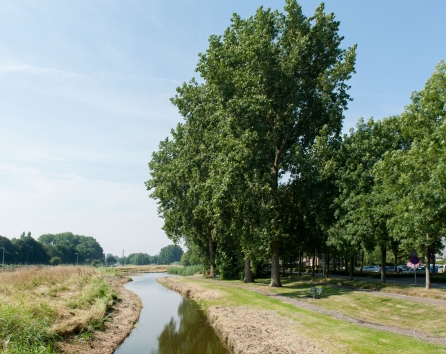 Park other angle North apartment Amsterdam