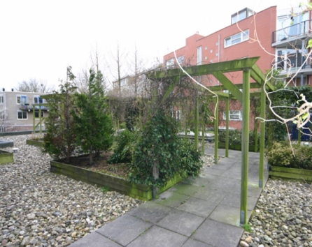 Roof garden