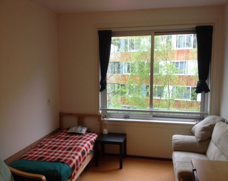 bed/living room( extra twin bed can be added)