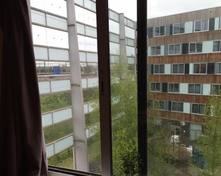 Window