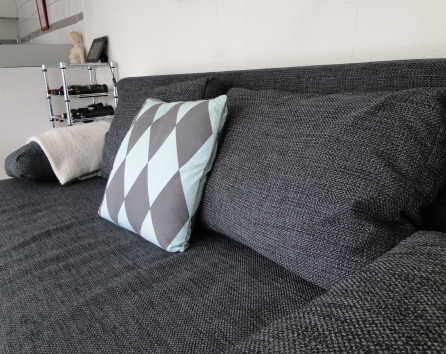 Sleeping sofa in the living room sleeps 2 adults
